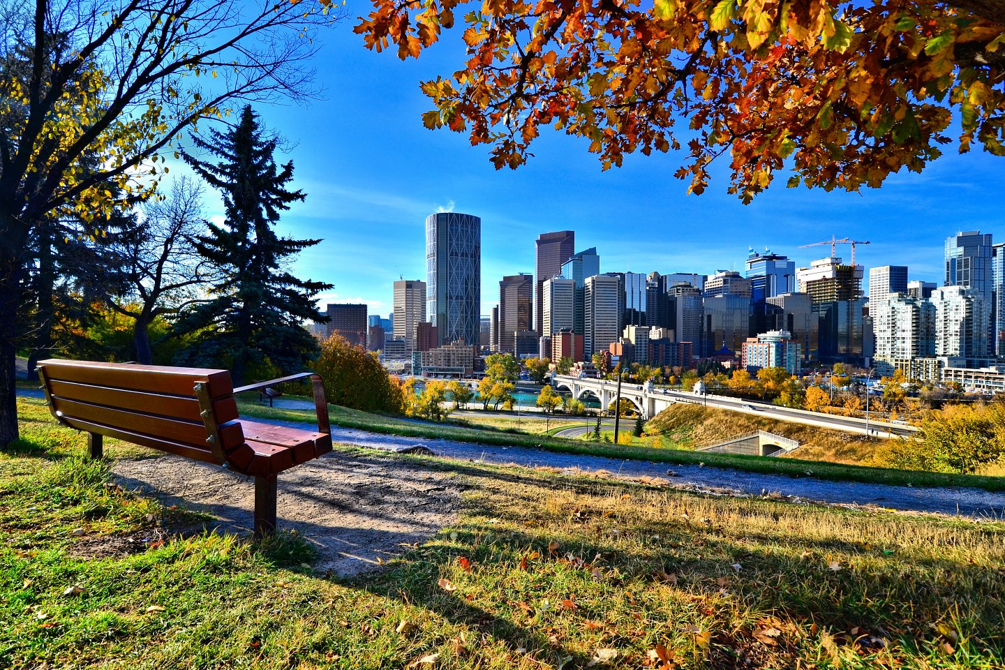 View from a park overlooking the skyline Calgary